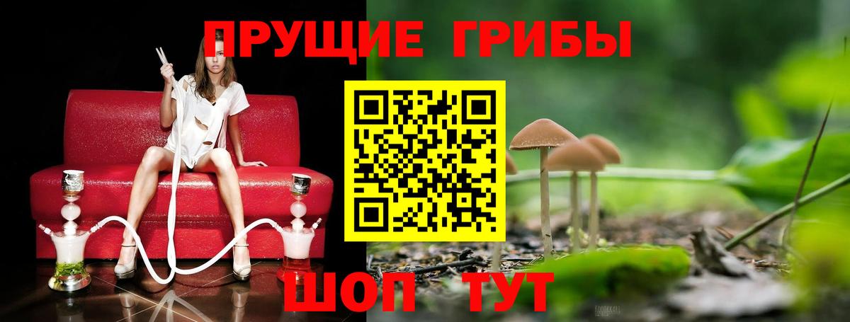 Псилоцибиновые грибы Psilocybe  Псилоцибиновые грибы мицелий  Рассказово  Вход с VPN 